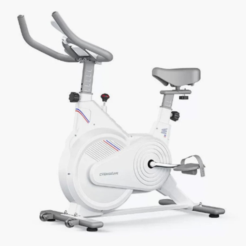 Home Gym No Equipment - Indoor Stationary Spin Bike, Silent Magnetic