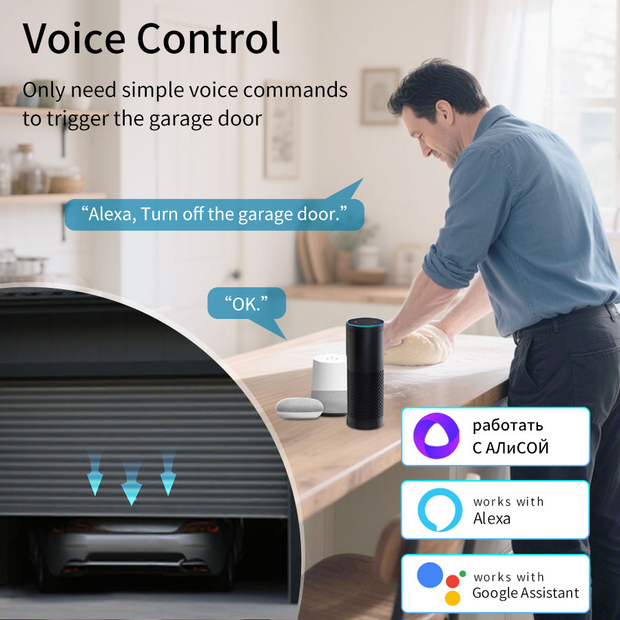 Tuya Smart WiFi or Zigbee Gara - Home Gym Garage 评论和价格