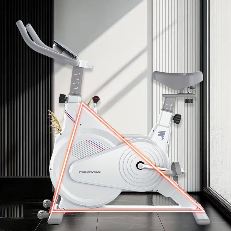 Indoor Stationary Spin Bike, S - Home Gym No Equipment 评论和价格