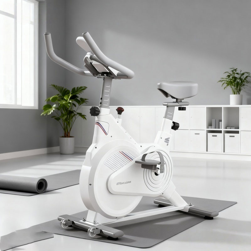 Indoor Stationary Spin Bike, S - Home Gym No Equipment 评论和价格